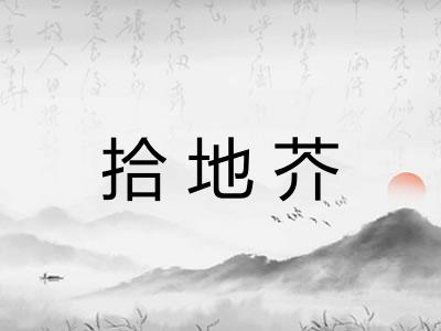 拾地芥