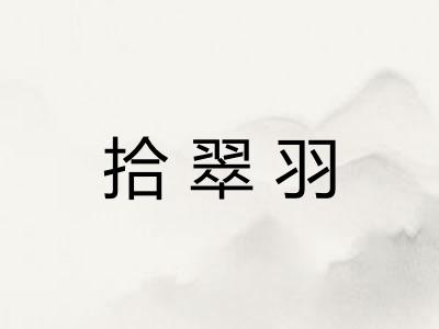 拾翠羽