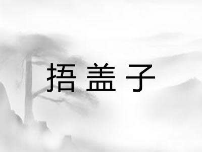 捂盖子