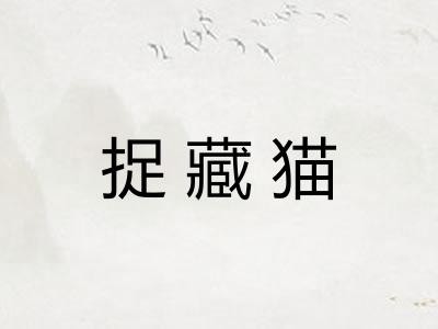 捉藏猫