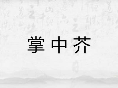 掌中芥