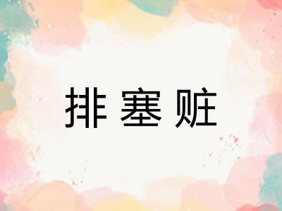 排塞赃