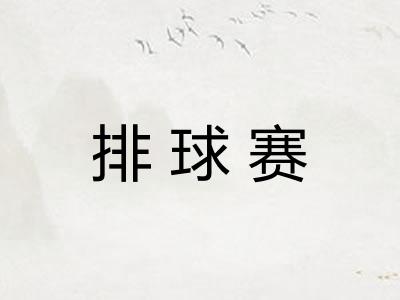 排球赛