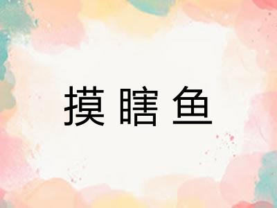 摸瞎鱼