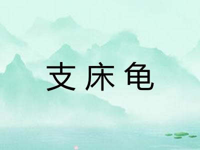 支床龟