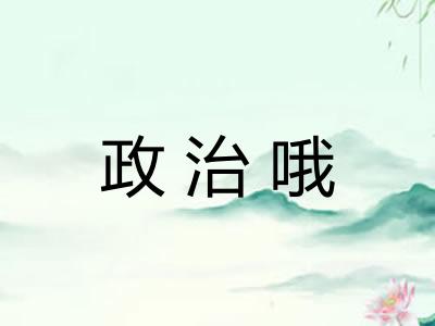 政治哦