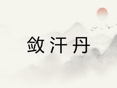 敛汗丹