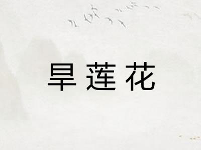 旱莲花