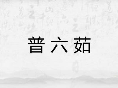 普六茹