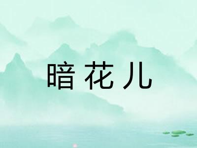 暗花儿