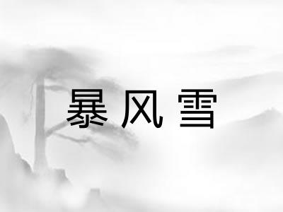 暴风雪