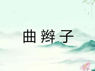 曲辫子