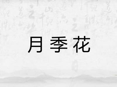 月季花