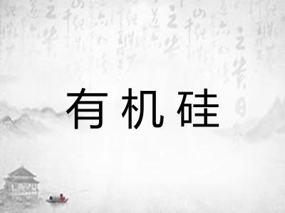 有机硅