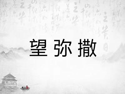 望弥撒