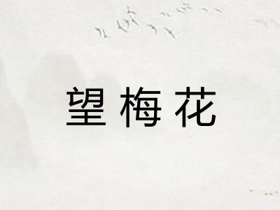 望梅花