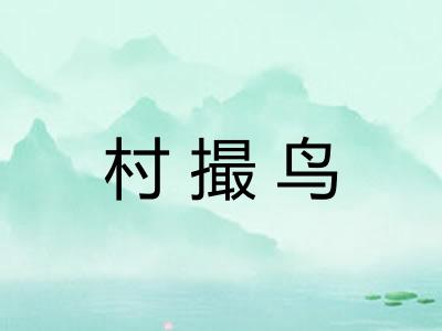 村撮鸟