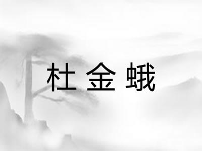 杜金蛾