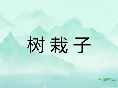 树栽子