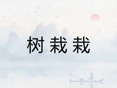树栽栽