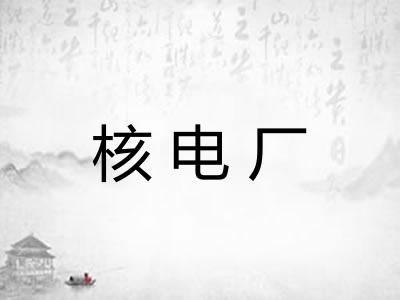 核电厂