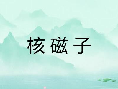 核磁子