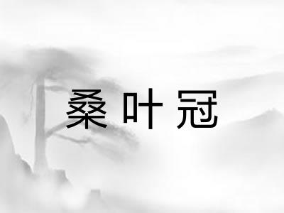桑叶冠