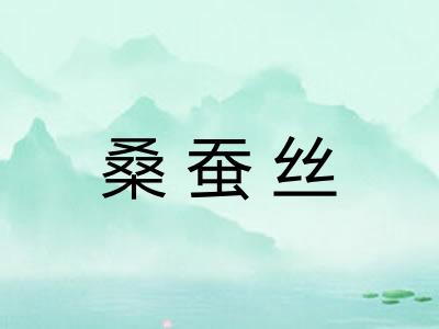 桑蚕丝
