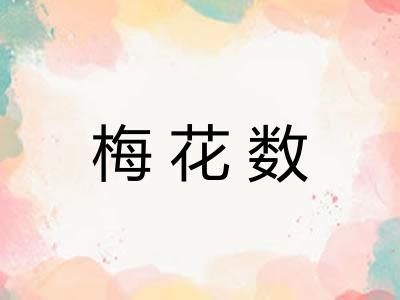 梅花数