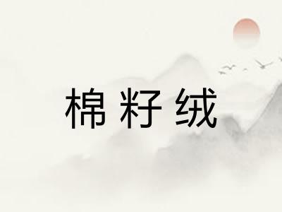 棉籽绒