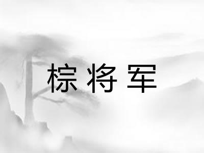 棕将军