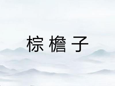 棕檐子