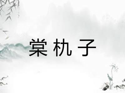 棠朹子