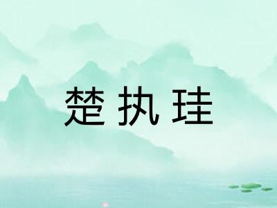 楚执珪