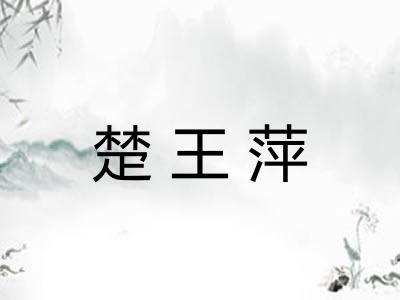 楚王萍