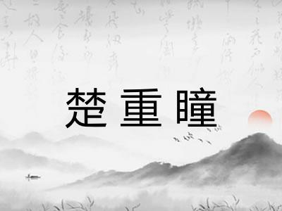 楚重瞳
