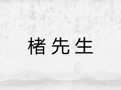 楮先生