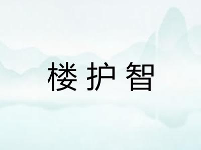 楼护智