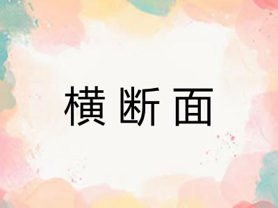 横断面