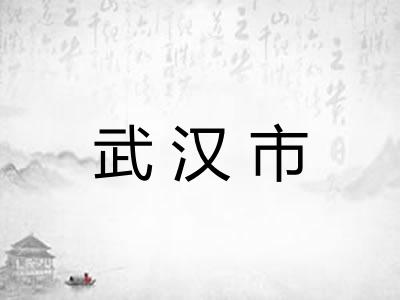 武汉市