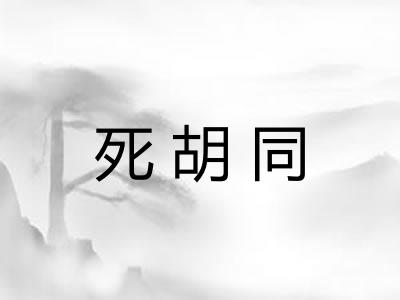死胡同