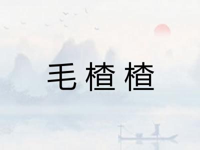 毛楂楂