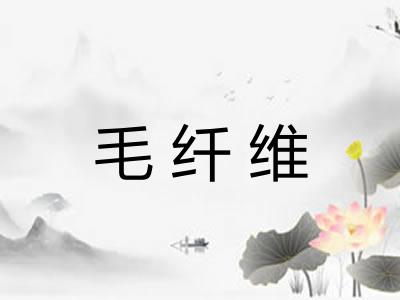 毛纤维