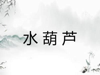 水葫芦