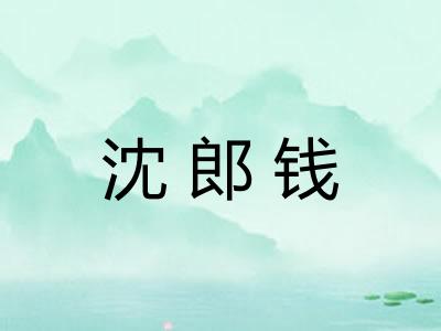 沈郎钱