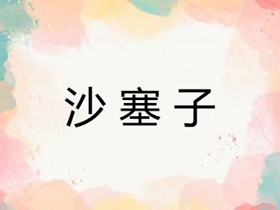 沙塞子