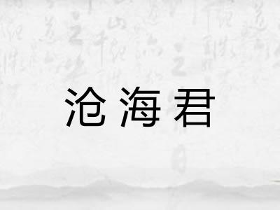 沧海君