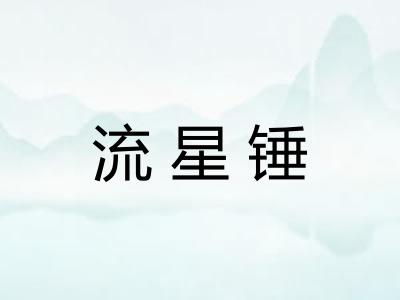 流星锤