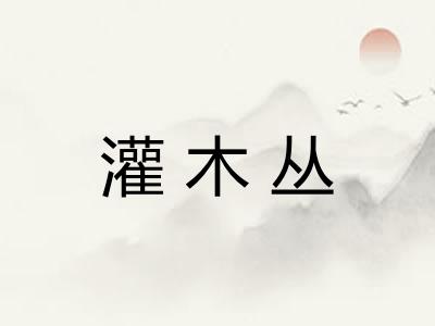 灌木丛