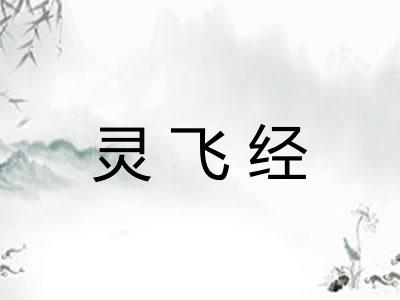 灵飞经